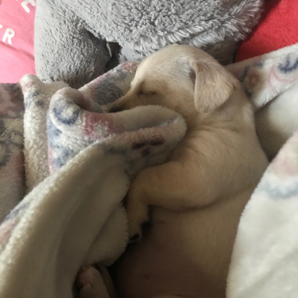 Meet your Posher, Kimberly